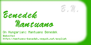 benedek mantuano business card